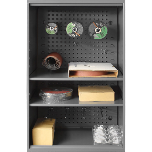 Abrasive Storage Cabinet with Pegboard, Steel, 19-7/8" x 14-1/4" x 32-3/4", Grey Pryde Industrial Inc.