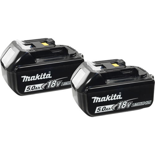 Blocs-piles, Lithium-ion, 18 V, 5,0 A Pryde Industrial Inc.