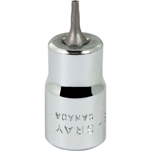 Douille &agrave; embout, Torx, T8 x 2-1/8" lo, Prise 3/8" Pryde Industrial Inc.