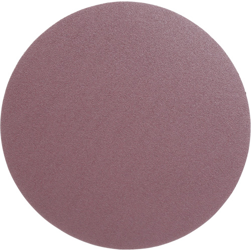 Meule en toile PSA 348D, dia 12", Grain 60, Oxyde d'aluminium, Poids Pryde Industrial Inc.