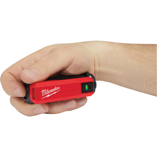 Alimentation et chargeur USB Redlithium, 4 V, Lithium-ion Pryde Industrial Inc.