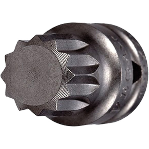 Embout &agrave; ins&eacute;rer, Triple carr&eacute;, 5 x 3/4" lo, Prise 1/4" Pryde Industrial Inc.