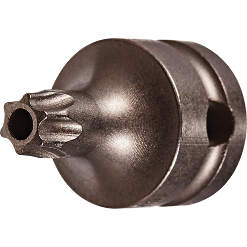 Embout &agrave; ins&eacute;rer, Torx inviolable, 25 x 1" lo, Prise 3/8" Pryde Industrial Inc.