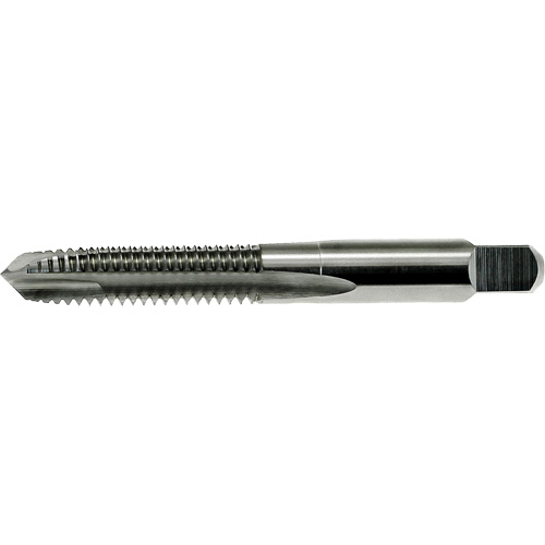 Taraud &agrave; pointe spiral&eacute;e DRILLCO, Acier rapide, Filet de M1,8x0,35 Pryde Industrial Inc.