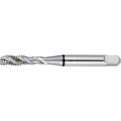 DRILLCO Spiral Flute Super High Performance BT Tap, High Speed Steel, 10-24 Thread, 2-3/8" L Pryde Industrial Inc.