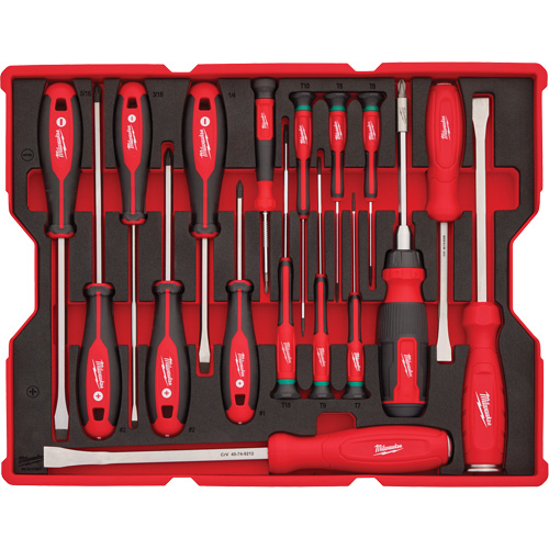 Jeu de tournevis et de leviers avec organisateur pour tiroirs PACKOUT, 17, Magn&eacute;tique Pryde Industrial Inc.
