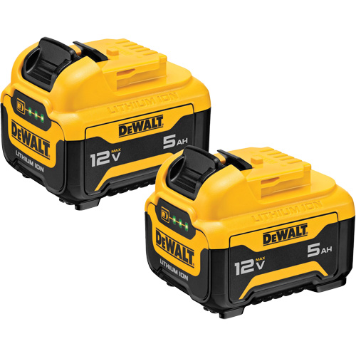 Bloc-piles Max*, Lithium-ion, 12 V, 5 Ah Pryde Industrial Inc.