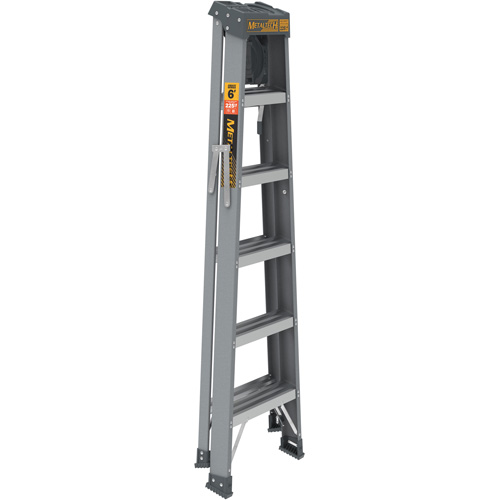 Step Ladder with Paint Tray, 6', Fibreglass, 225 lbs. Capacity, Type 2 Pryde Industrial Inc.