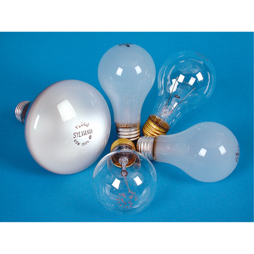 LAMPE INCANDESCENTE,25W,130V,GIVREE,2/PQT Pryde Industrial Inc.