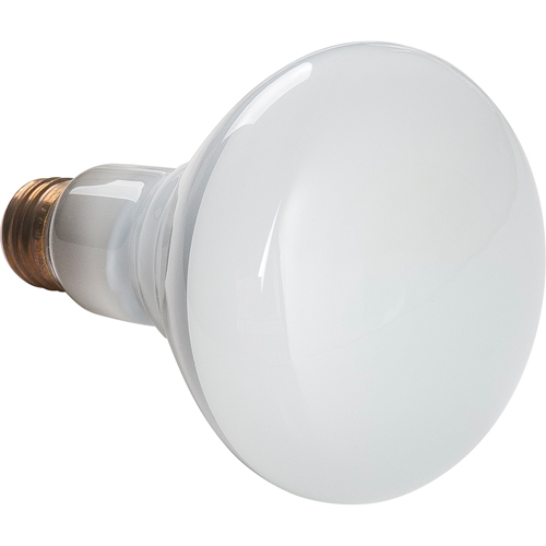 Economy Line Incandescent Lamps Pryde Industrial Inc.