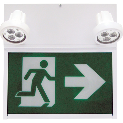 Enseigne de sortie coureur, DEL, &agrave; piles/&agrave; raccordement fixe, 12" lo x 12 1/2" la, Pictogramme Pryde Industrial Inc.