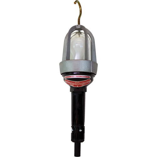 Baladeuses pour emplacements dangereux Pryde Industrial Inc.