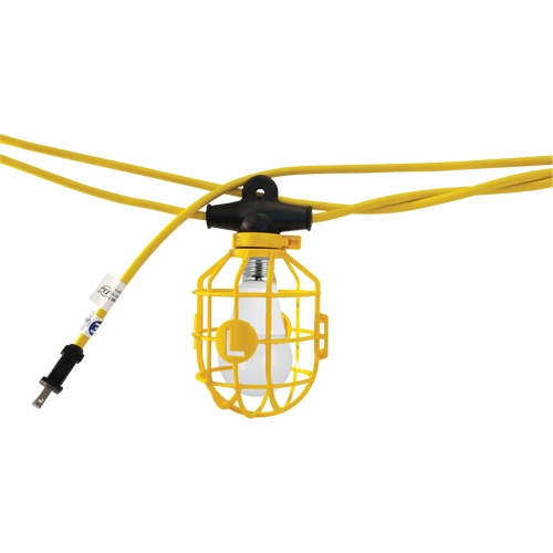 Chaînes de lumi&egrave;res DEL avec connecteur, 10 Lumi&egrave;res, 1200" lo, Boîtier en Plastique Pryde Industrial Inc.