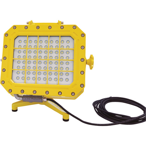 Explosion Proof Floodlight with Floor Stand, LED, 40 W, 5600 Lumens, Aluminum Housing Pryde Industrial Inc.