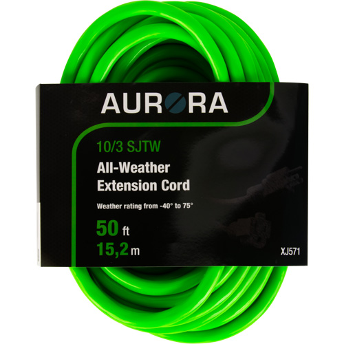 Cordon rallonge de calibre industriel, Toutes saisons, SJTW, AWG 10/3, 15 A, 50' Pryde Industrial Inc.