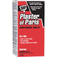Plaster of Paris Dry Mix, 2 kg, Box Pryde Industrial Inc.