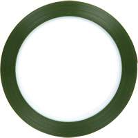 Polyester Tape, Polyester, 25.4 mm (1") W x 66 m (216') L, 1.9 mils Thick Pryde Industrial Inc.