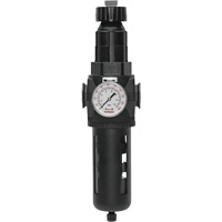 Modulair 400 Filter/Regulator with Manual Drain, 3/4" NPT, 200 psi, 9.1 fl. oz. Capacity Pryde Industrial Inc.