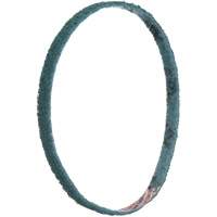 Courroies de traitement des surfaces Scotch-Brite Pryde Industrial Inc.