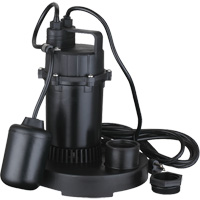 Thermoplastic Submersible Sump Pump, 2560 GPH, 115 V, 4.6 A, 1/3 HP Pryde Industrial Inc.