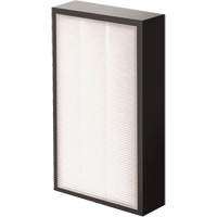 AeraMax&reg; Pro AM2 1-3/4" True HEPA Filter, Box, 7.38" W x 1.88" D x 12.88" H Pryde Industrial Inc.