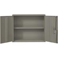 Armoire murale, Acier, 2 Tablettes, 30" h x 36" la x 12" P, Gris Pryde Industrial Inc.