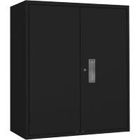 Armoire de rangement Lo-Boy, Acier, 2 Tablettes, 42" h x 36" la x 18" P, Noir Pryde Industrial Inc.