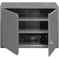 Armoire murale, 27" h x 29-7/8" la x 13-11/16" p, 2 tablettes, Acier, Gris Pryde Industrial Inc.