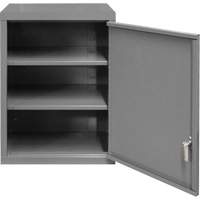 Armoire murale, 27" h x 13-11/16" la x 18" p, 2 tablettes, Acier, Gris Pryde Industrial Inc.