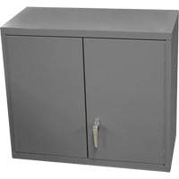Armoire murale, 27" h x 13-11/16" la x 35-7/8" p, 2 tablettes, Acier, Gris Pryde Industrial Inc.