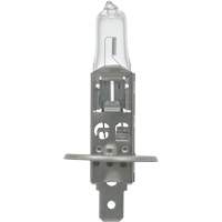 64155 Basic Automotive Bulb, Halogen, 78 W, Off White Pryde Industrial Inc.
