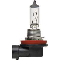 H8 Basic Headlight Bulb, Halogen, 35 W, Off White Pryde Industrial Inc.