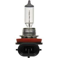 H8 Basic Headlight Bulb, Halogen, 35 W, Off White Pryde Industrial Inc.