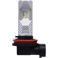 H8 Headlight Bulb, LED, 12.8 W/9 W, White Pryde Industrial Inc.
