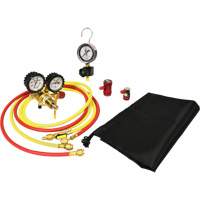 Automotive A/C Nitrogen Leak Test Kit with Regulator Pryde Industrial Inc.