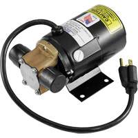 Low Profile Truck Drain with Electric Pump Pryde Industrial Inc.