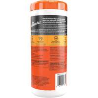 Original Protectant Wipes Pryde Industrial Inc.