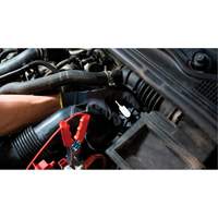 Pompette de purge de frein Brake-Pro &agrave; structure haute avec adaptateurs Pryde Industrial Inc.
