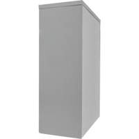 Counter-High Storage Cabinet, Steel, 2 Shelves, 42" H x 48" W x 24" D, Grey Pryde Industrial Inc.