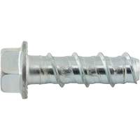 Boulons Wedge Bolts, Acier au carbone, 1/2" x 2" Pryde Industrial Inc.