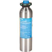 Calibration Testing Gas Cylinder, 1 Gas Mix, H2S, 58 Litres Pryde Industrial Inc.