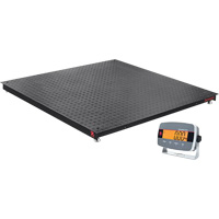 Defender 3000 Floor Scale, 5000 lbs. Capacity, 4' L x 4' W Pryde Industrial Inc.
