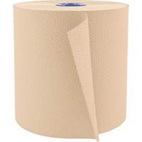 Paper Hand Towel Rolls