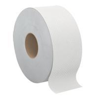 Papier hygi&eacute;nique Pro Select, Rouleau G&eacute;ant, 2 Pli, Longueur 500', Blanc Pryde Industrial Inc.
