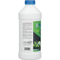 Biodegradable Hand Cleaner, Powder, 1 lbs., Bottle, Scented Pryde Industrial Inc.
