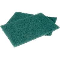 Scotch-Brite Hand Pads, Scrubbing, 6" W x 9" L Pryde Industrial Inc.