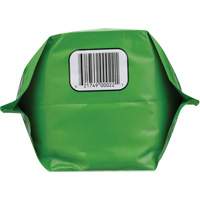 Biodegradable Hand Cleaner, Powder, 4.5 lbs., Packet, Unscented Pryde Industrial Inc.