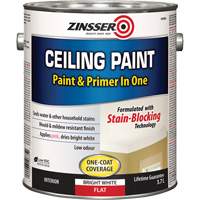 Paints & Coatings