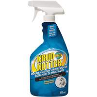 Vaporisateur contre les moisissures, 650 ml, Bouteille &agrave; g&acirc;chette Pryde Industrial Inc.