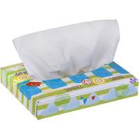 Kleenex&reg; Junior Facial Tissues, 2 Ply, 8.4" L x 5.5" W, 40 Sheets/Box Pryde Industrial Inc.